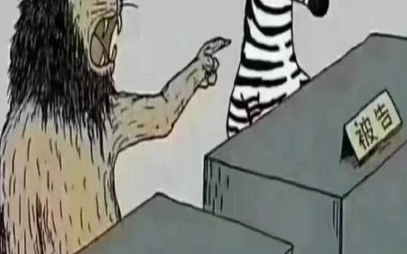 梦见被狮子咬是什么预兆,梦见狮子追我但没咬到