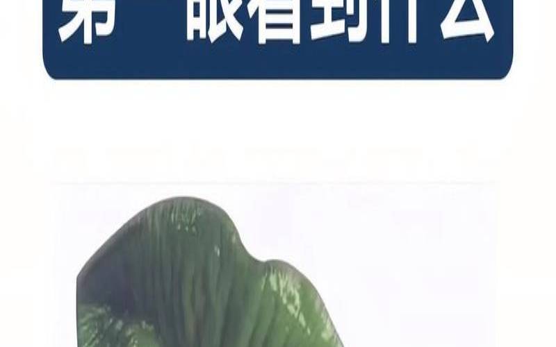 测试一年后的变化,测三年后会得到什么