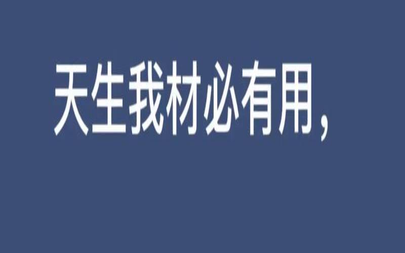天生我材必有用,天生我材必有有用 天生我材必有用,天生我材必有有用
