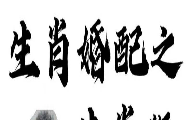 茫茫人海，相亲相爱的生肖动物
