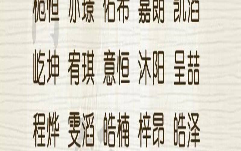 2023兔年男孩取什么名字好,兔宝宝和索菲亚哪个好