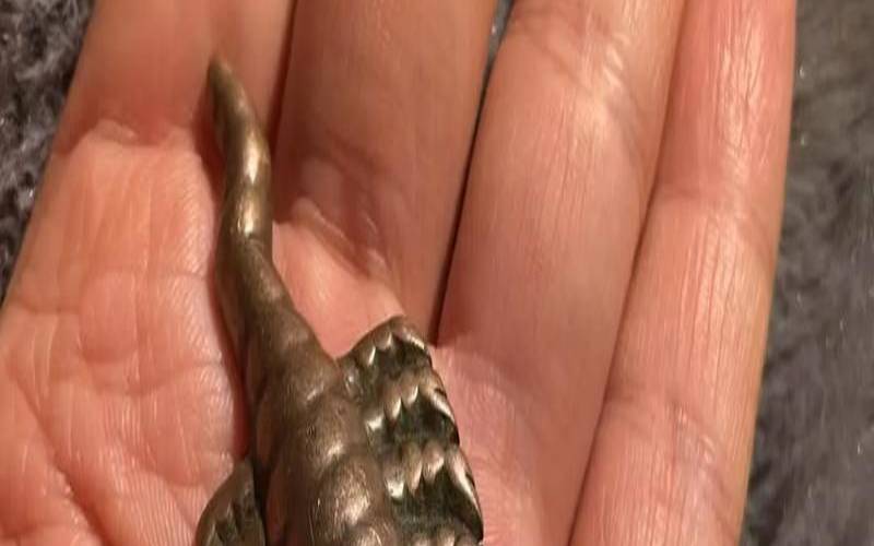 女人梦见蝎子是吉兆发财,梦见蝎子咬的七大预兆