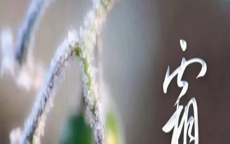 2021年霜降结婚吉利吗（正月为什么不能结婚）