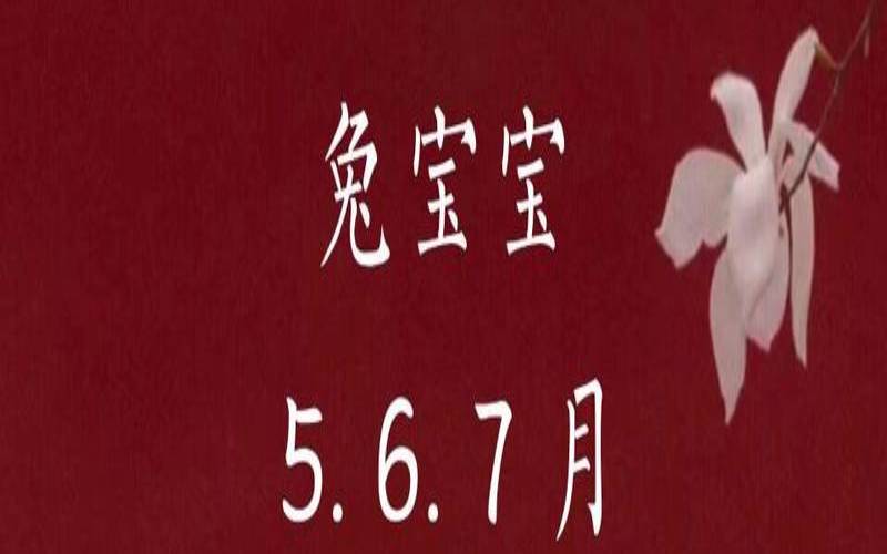 2023年5月适合结婚吗（2023年怀孕最佳月份）