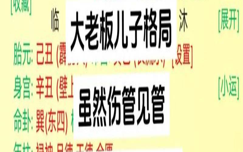 桃花旺年是什么意思（桃花命是什么意思）