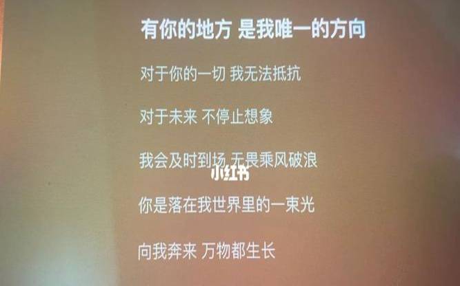 你是一个温柔的女孩子（你的柔情似水歌词）