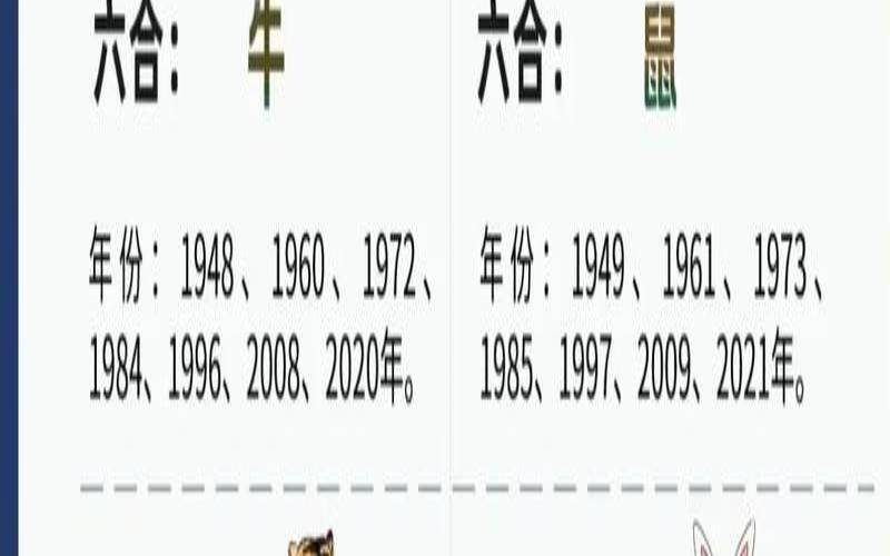 00年属龙2020年多大（2000年属龙人的命运）
