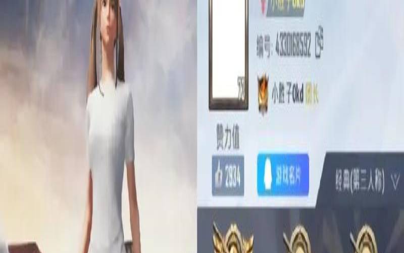 和平精英2021最新名字（和平精英女生名字大全）