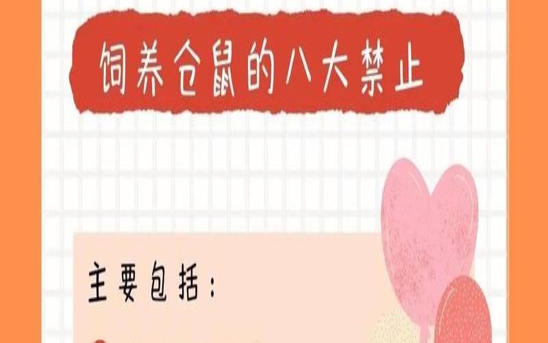 48年的鼠2020年三大劫难（48年出生的鼠今年命运如何）