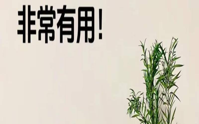 提升财运的方式（财运怎么提升）