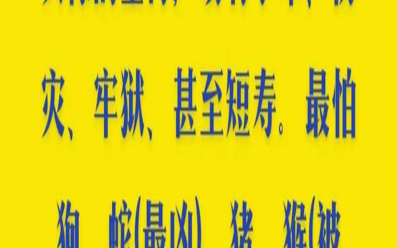 属虎名字带水好吗（属虎的手带什么吉祥物）