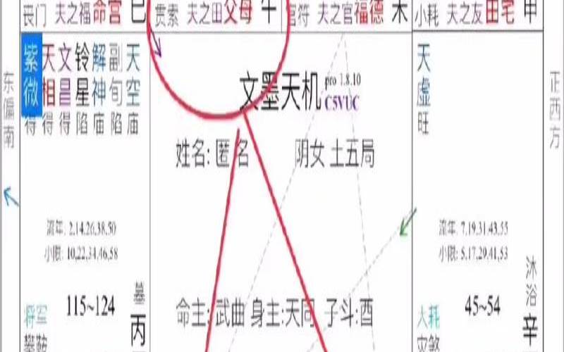 紫微看财富格局（什么属相财运最旺）