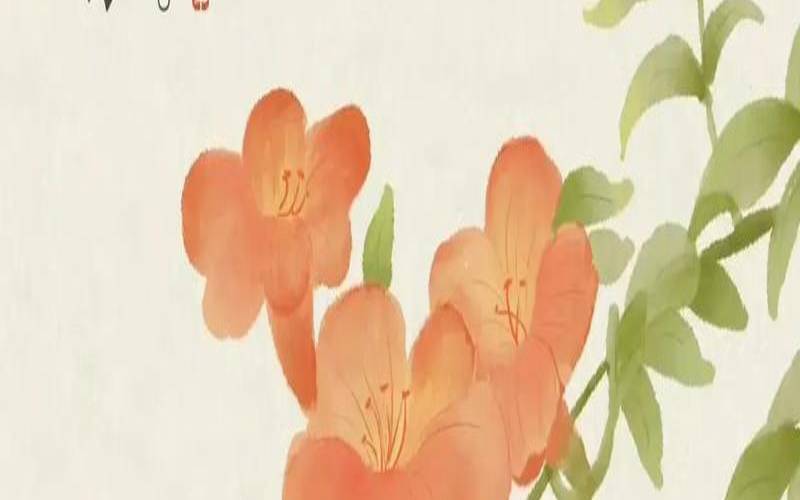100个有诗意的中药名（充满诗意的中药名字）
