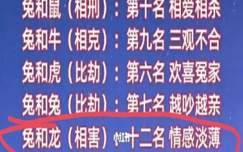 兔子和什么属相合不合（兔子和什么生肖最配）