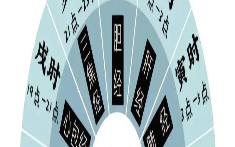 12时辰养生对照表（十二时辰养生法别错过）