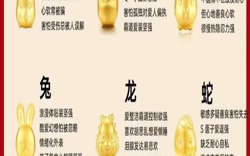 12生肖在工作中应该注意些什么（十二生肖的工作是什么）
