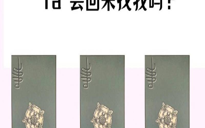 测ta对你的感觉（最准复合测试）