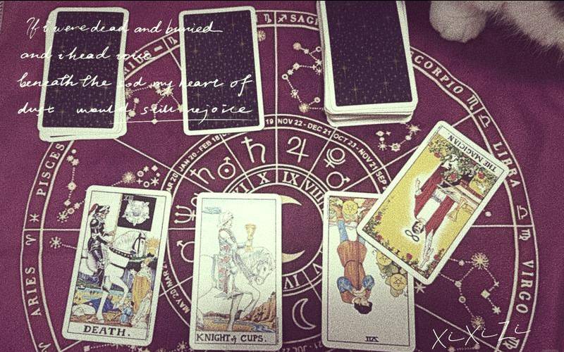 2021年7月星座爱情运势（星币七逆位爱情结束了吗）
