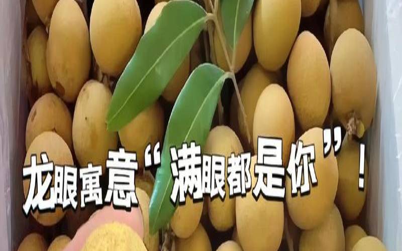 梦见吃龙眼果（女人梦见龙眼预示什么）