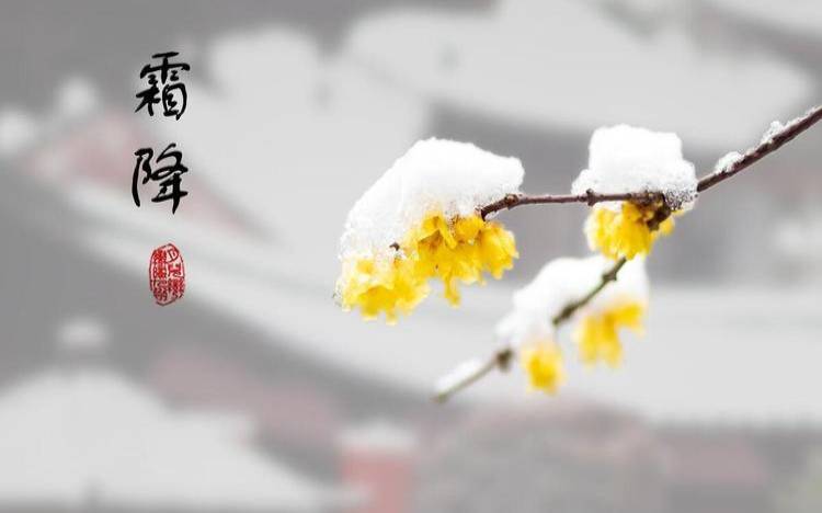 霜降和重阳同一天（立春了还有霜吗）