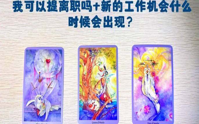 塔罗牌占卜服装（塔罗牌一天能占卜几次）