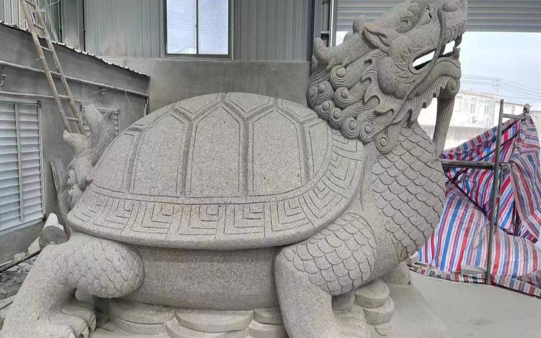 办公室养乌龟风水学（做生意能养乌龟吗）