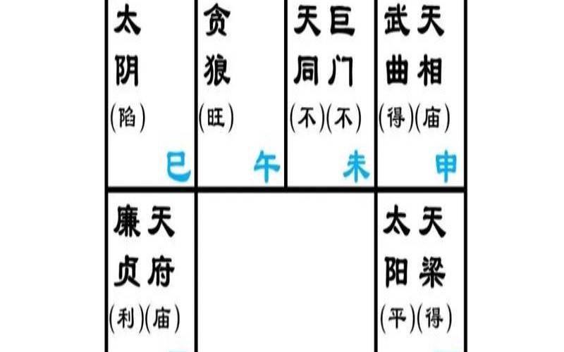 紫微斗数天才星（紫微斗数看学业文凭）