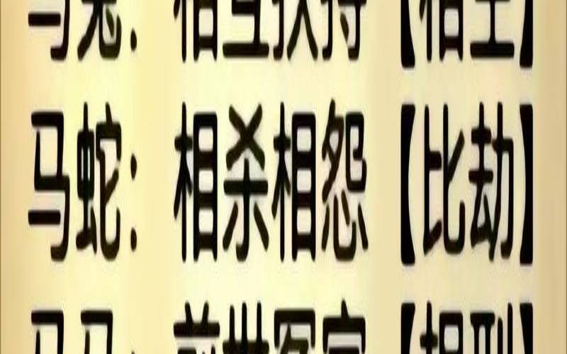 属马男人对感情的态度（属马男人对爱情的态度）