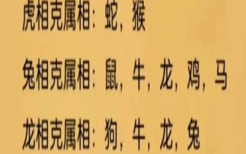 属蛇的和属狗的婚姻怎么样（属狗和属蛇婚姻相配吗）