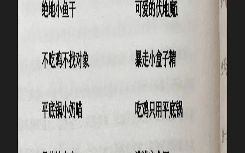 吃鸡id搞笑名字大全集锦（让人一看就笑的id吃鸡）