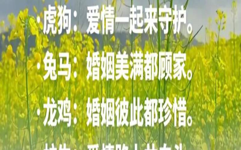 十二生肖一生遇到几次真爱（哪些生肖配对会有真爱）