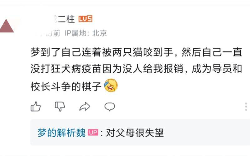 梦见被猫咬手不放很疼（男人梦见猫咬手是吉兆）