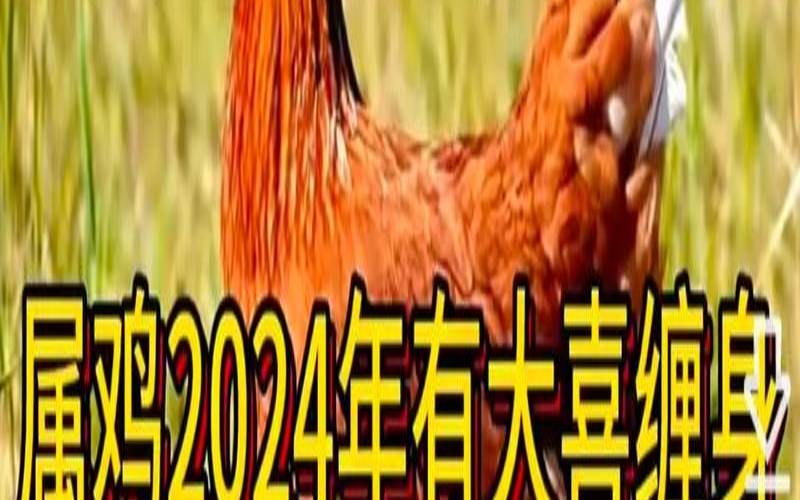 属鸡人的终身贵人（1969属鸡女厉害之处）