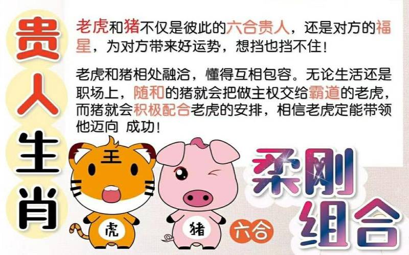 猪跟虎的属相最终会怎么样（猪跟虎在一起合不合）