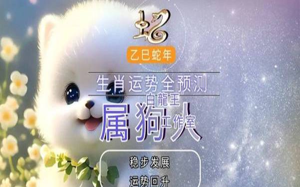 属狗每周运势查询（每日运势最准的软件）
