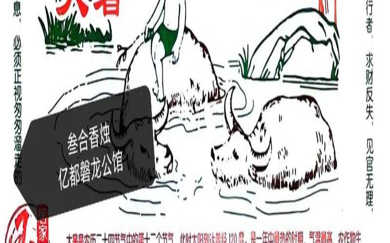 农历六月十七是什么星座（1990年六月十七农历）