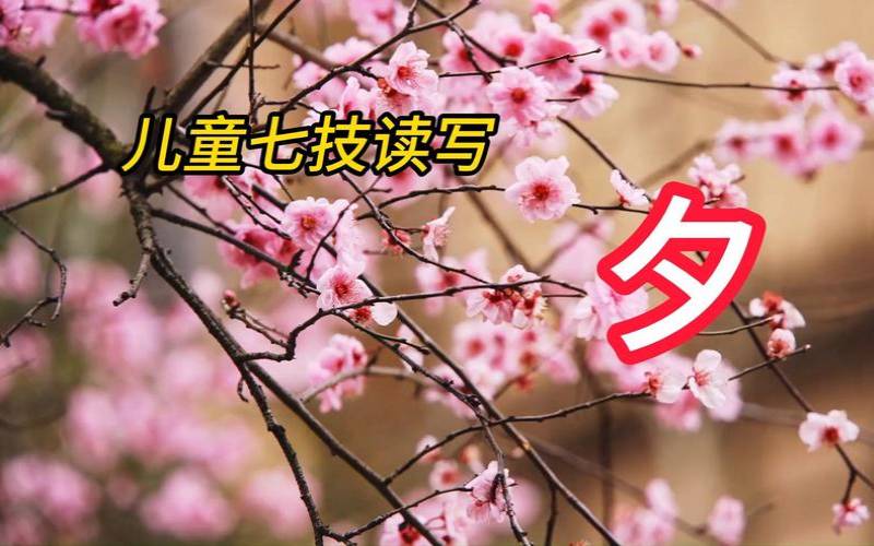 带夕字的女孩名字寓意（夕字为何不能取名字）