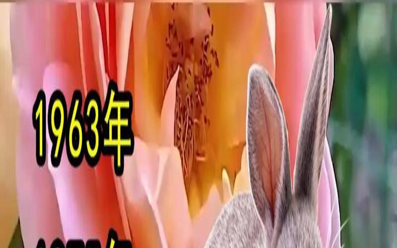 2022年正月二十三出生（属兔生在几月最命苦）