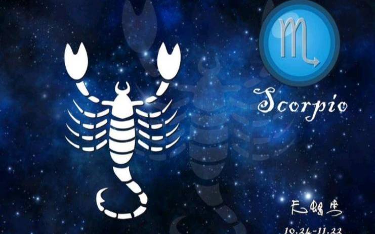 11月8号的生日是什么星座的（11月8日的人是什么星座）
