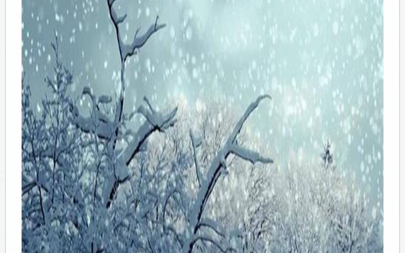 梦见爱人回来了代表什么,周公解梦梦见雪景 梦见爱人回来了代表什么,周公解梦梦见雪景