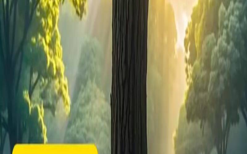壬水生甲木还是乙木（甲木有根好还是无根好）