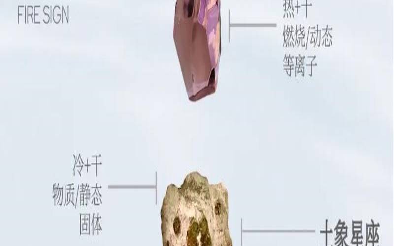 水象星座的优缺点（最不像水象的水象星座）