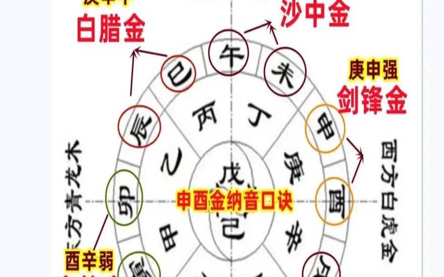 十天干和十二地支的名称和顺序（十天干和十二地支的读法）