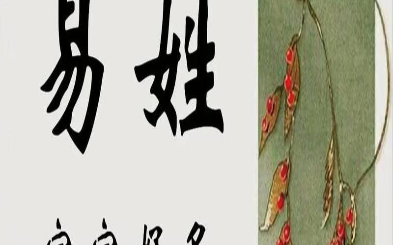 姓易的男孩名字有诗意霸气（男孩响亮霸气名字大全）
