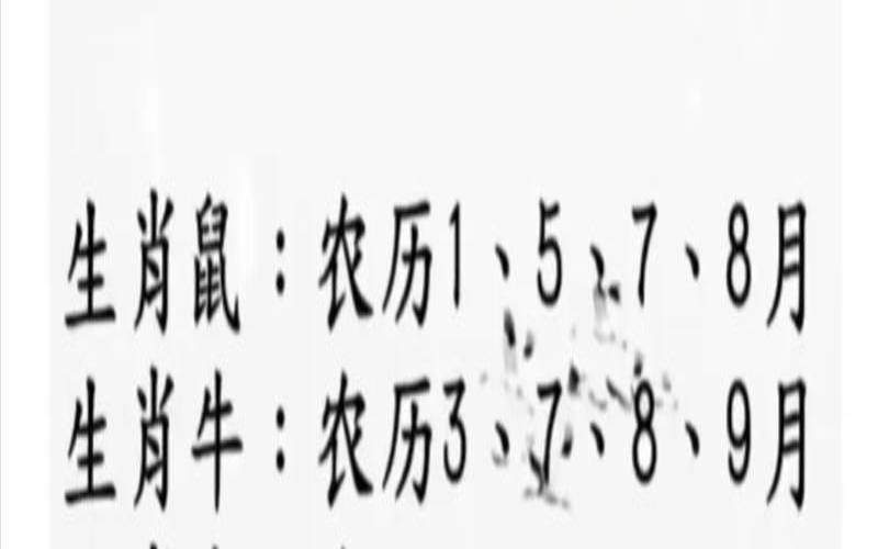 8月狗好吗8月属狗的人好吗（农历8月狗是什么命）