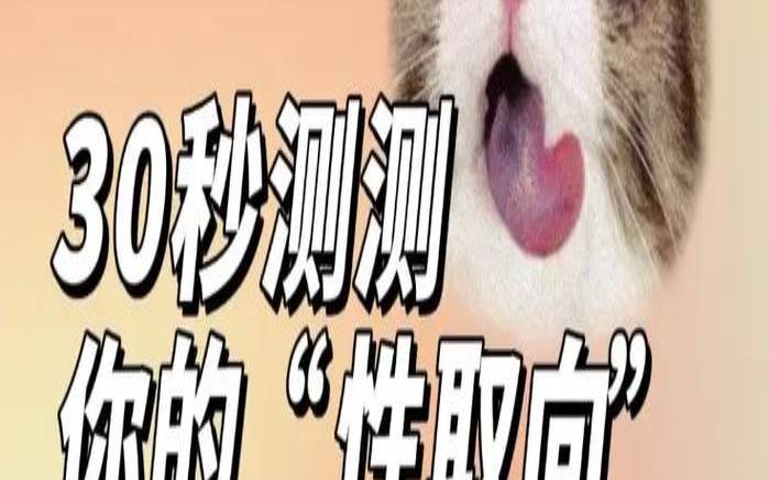 测试我的性取向（性取向心理测试免费）
