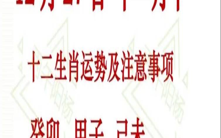 2020年12月27日属（2020年12生肖运势解析）