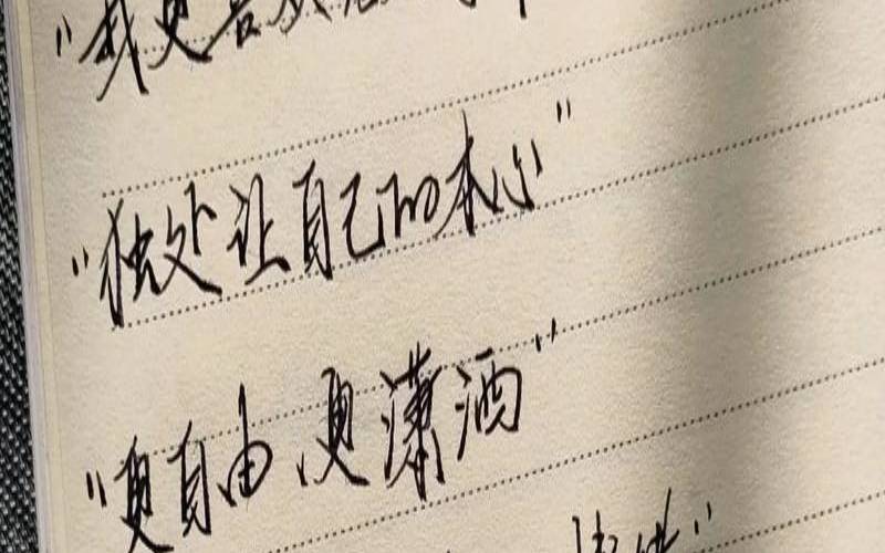 人这辈子追求经典句子（人一生追求的是什么）