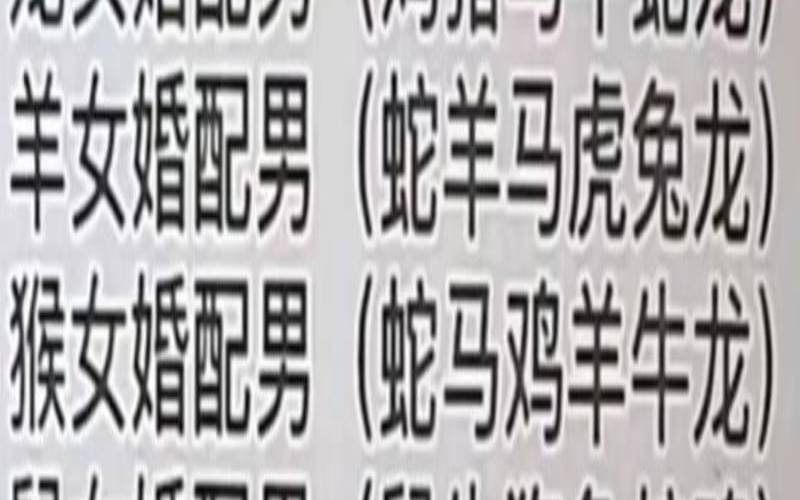 生肖兔男和蛇女合适吗（兔子男和蛇女属相配吗）
