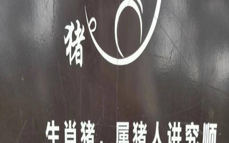 纸短情长（十二生肖想念一个人的表现）